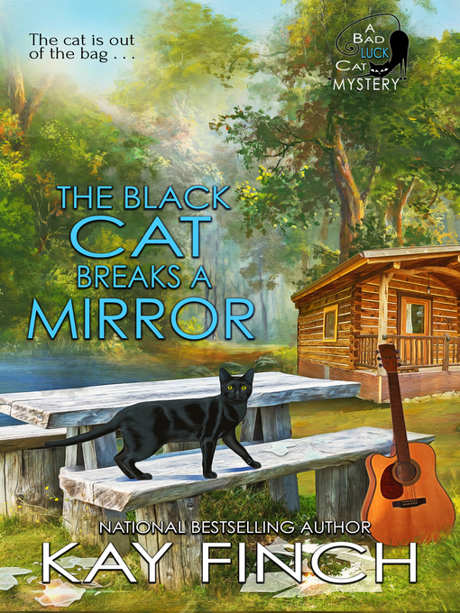 Title details for The Black Cat Breaks a Mirror by Kay Finch - Available